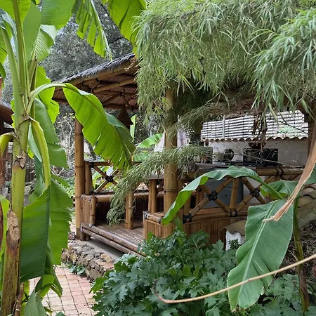Des Jardins De Valaurie דירה Corbés