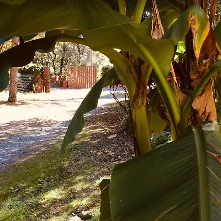 דירה Des Jardins De Valaurie
