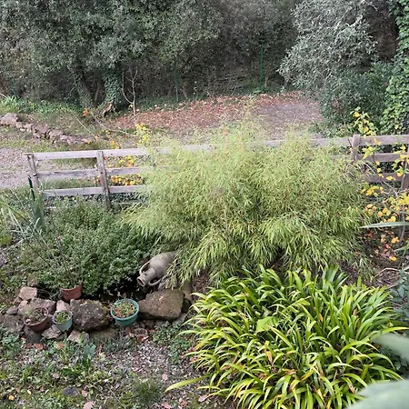 Des Jardins De Valaurie Corbés