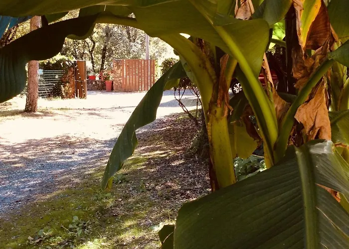 Διαμέρισμα Des Jardins De Valaurie